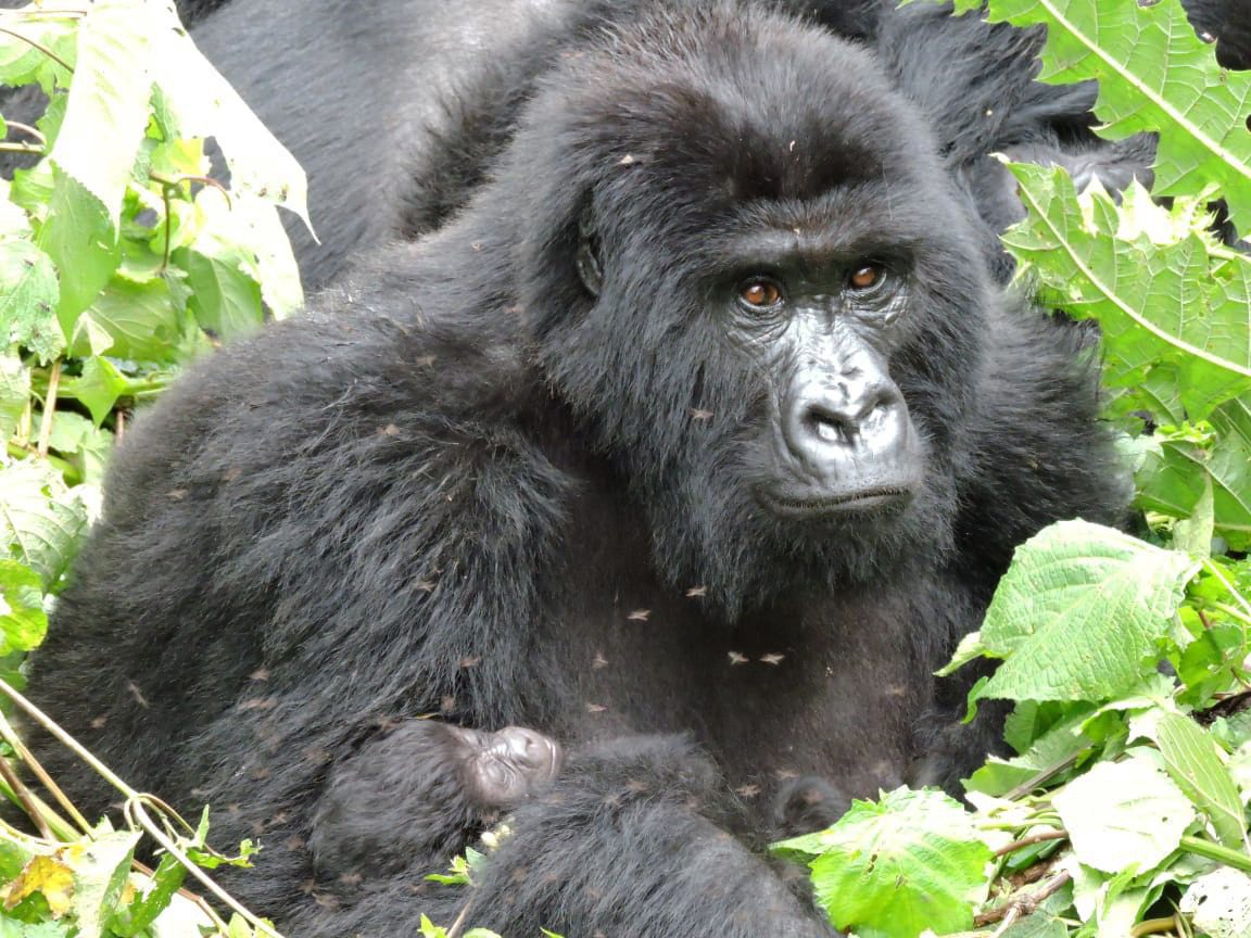 Tumaini-Bageni-Family