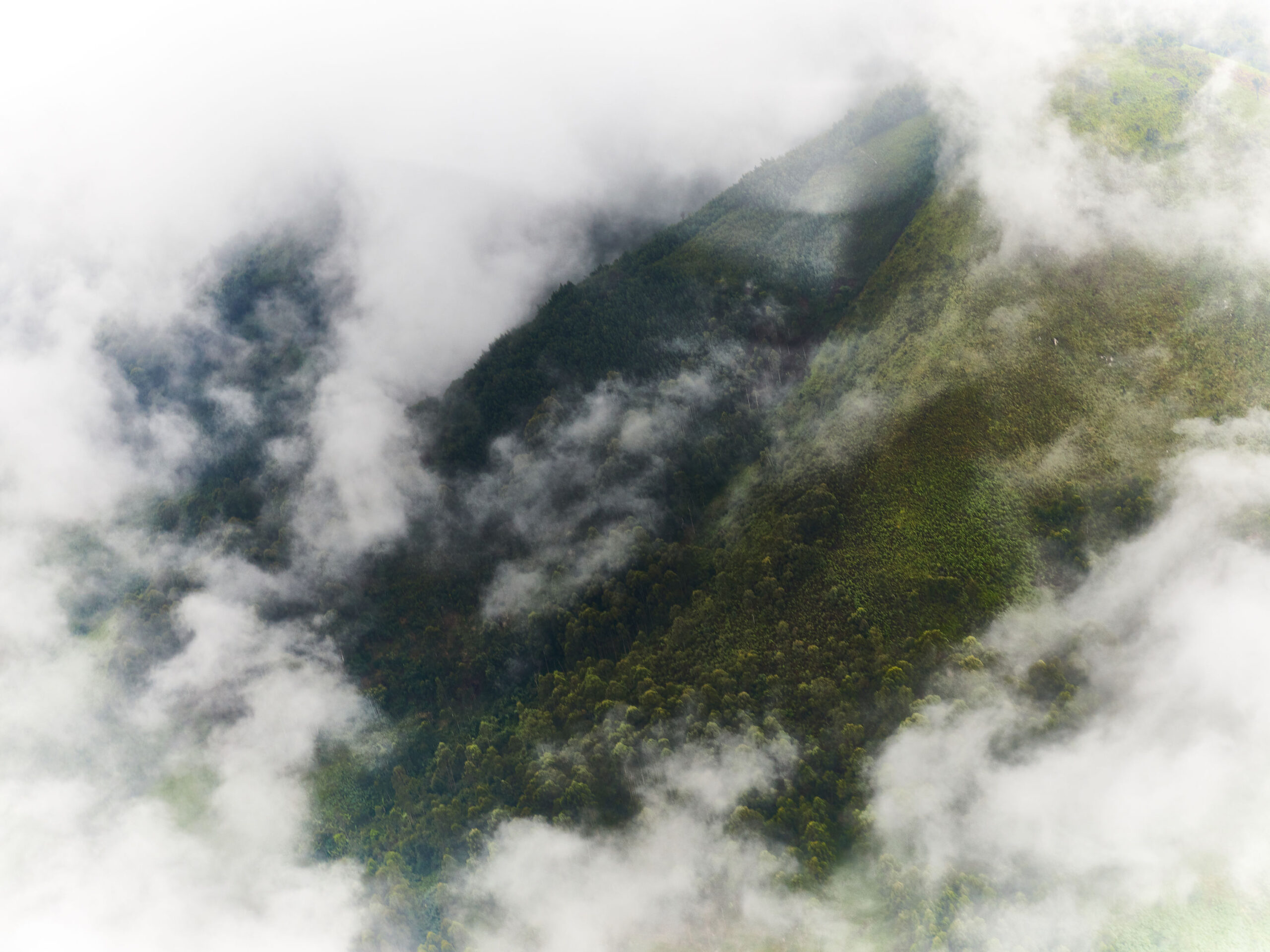 HughCunningham-VirungaOrigins (63)-large