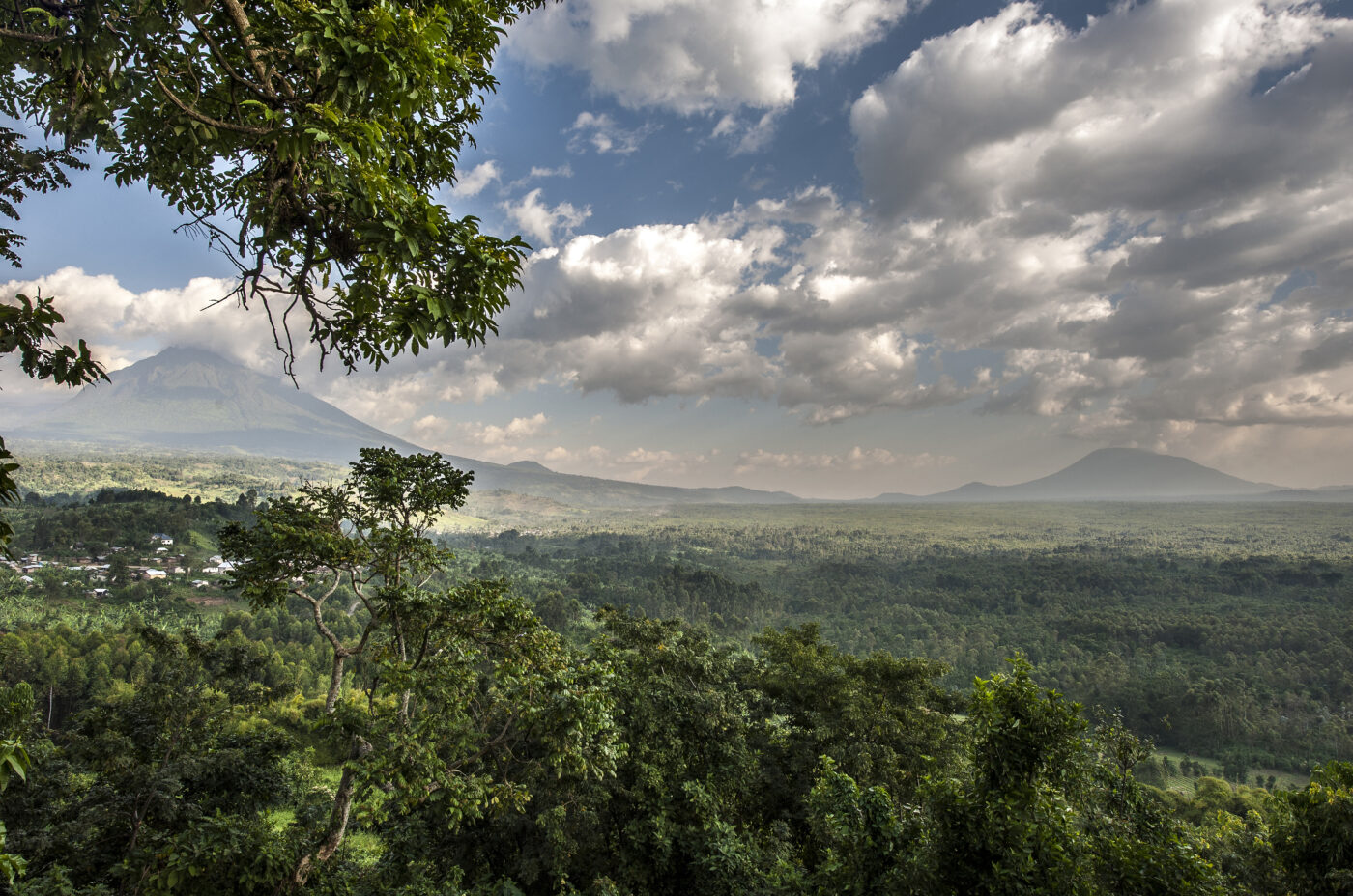A breathtaking view of the Virunga landscape featuring lush greenery, rolling hills, and mist-covered mountains under a serene sky.
