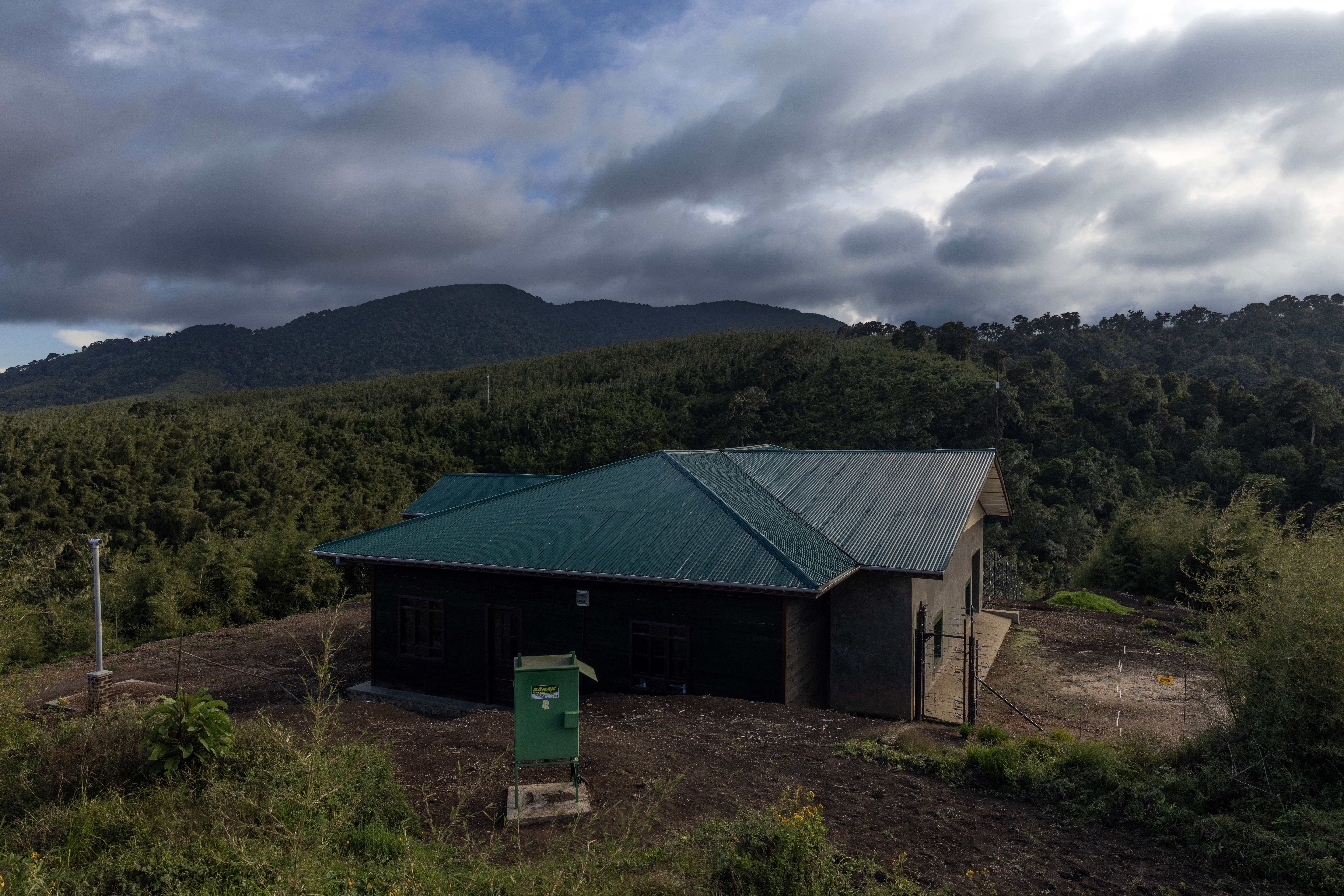 Facility for Eastern Lowland Gorillas in Tshiaberimu